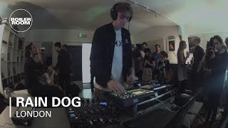 Photo of set Rain Dog.