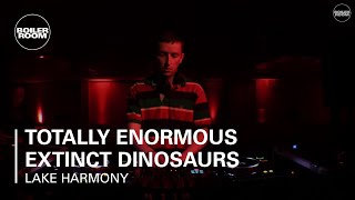 Photo of set Totally Enormous Extinct Dinosaurs Boiler Room Ray-Ban x Boiler Room Weekender | DJ Set.
