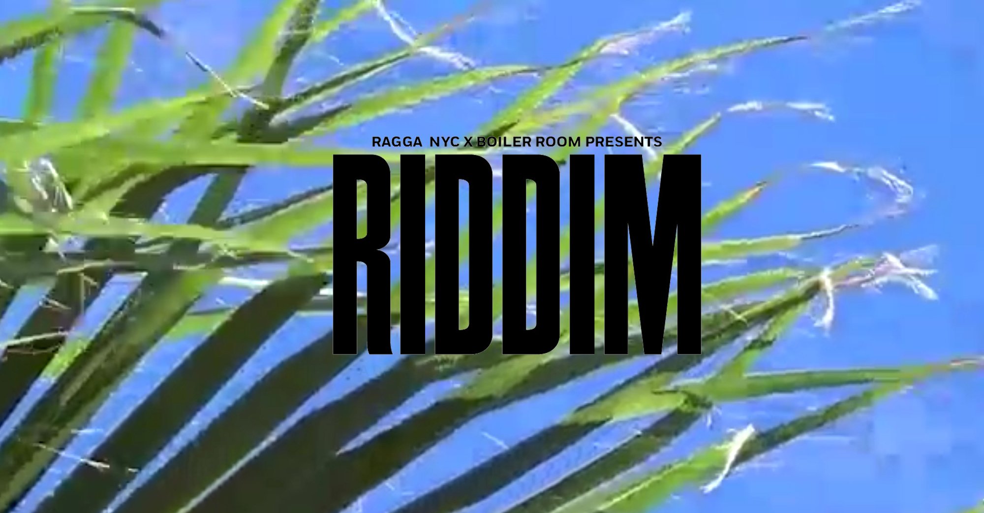 RIDDIM: A Day of Workshops, Learning & Music with RAGGA NYC flyer
