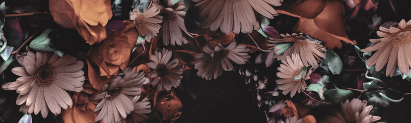 Flyer for event Red Bull Music Academy X Boiler Room Chronicles 002.