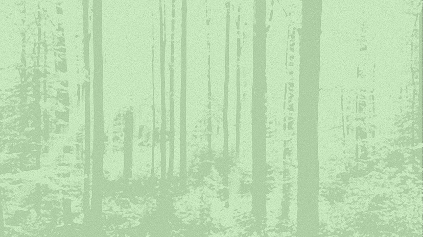 Flyer for event From The Counter: Berlin.